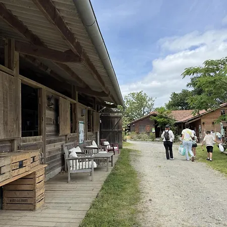 De L'asinerie De Pierretoun